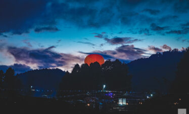 ziro
