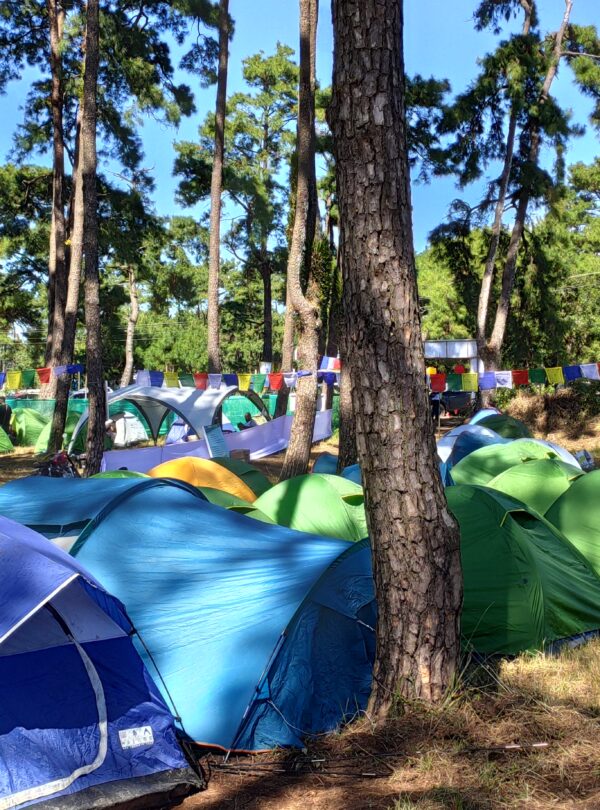 camping by bagpackgo adventures